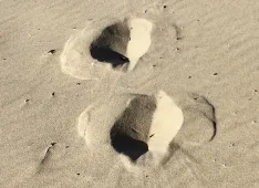 Spuren im Sand (Foto: Lukas Sievi)