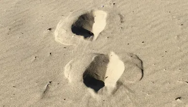 Spuren im Sand (Foto: Lukas Sievi)