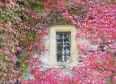 Kirchenfenster im Herbst (Foto: Beatrice Winkelmann)