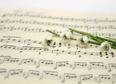 music-7107045_1920-pixabay.com (Foto: Pixabay)